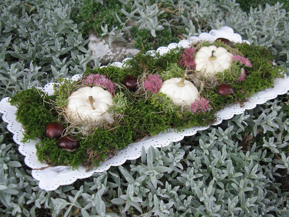 Dekoschale Advent BLUE COTTAGE k-Schale-flach-Herbstdeko Dekoschale für Advent Weihnachtsdeko BLUE COTTAGE