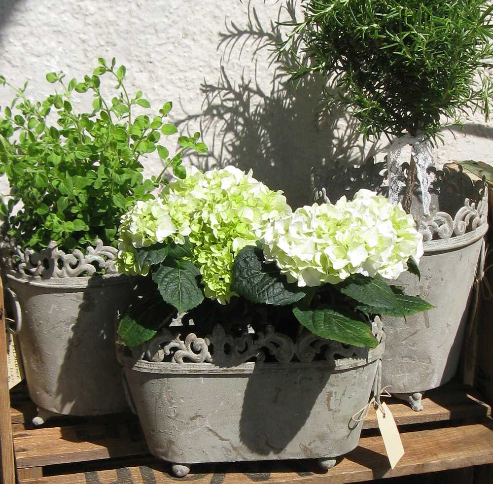 Pflanzgefäß oval BLUE COTTAGE k-IMG_0876-AA