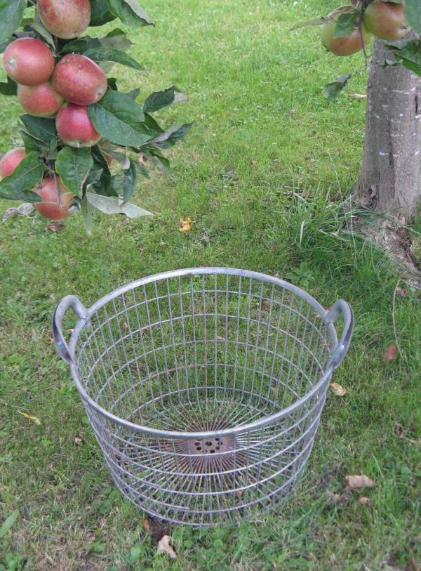 alter großer Erntekorb mit Patina - BLUE COTTAGE shop